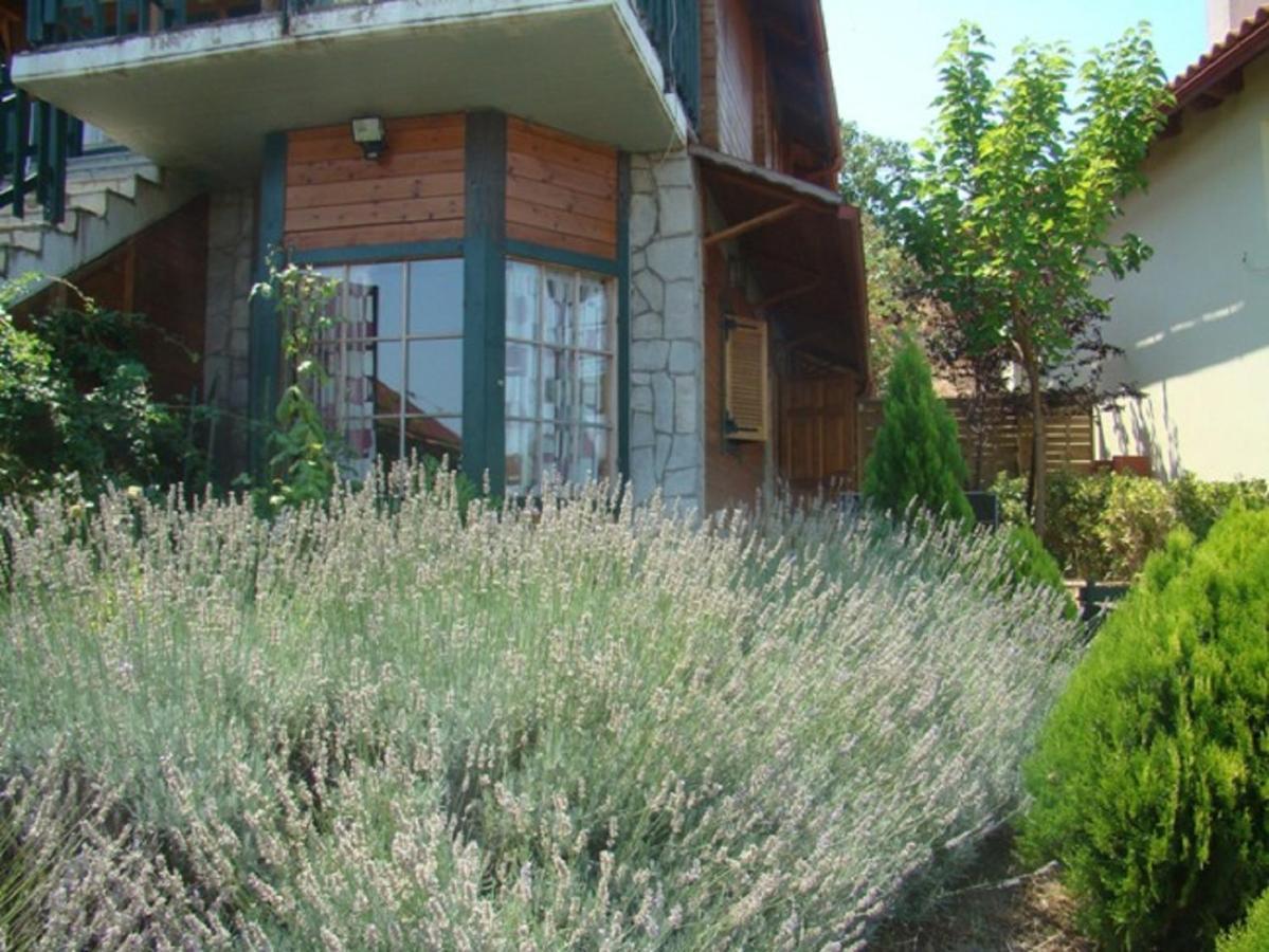 Zeus-Village Οικισμός Φινλανδικών Chalet Με Πισίνες & Γυμναστήριο Molos  Camera foto